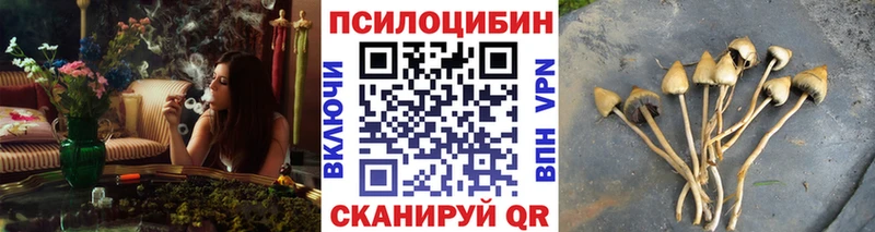 Галлюциногенные грибы ЛСД Среднеколымск